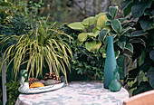 Grüner Kasten: Euphorbia, Acorus gramineus 'Ogon'