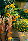 Tonköpfe mit Gräsern, Tagetes (Studentenblumen), Helianthus (Sonnenblumen)