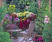 Box with Dianthus, Nicotiana, Argyranthemum, Petunia-Surfinia, Allium (giant leek)