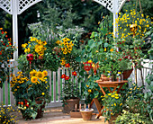 Late-summer cottage garden on the porch