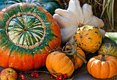 Ornamental pumpkins