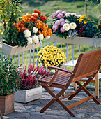 Autumn balcony