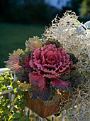 Brassica oleracea (ornamental cabbage) in the balcony box