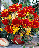 Tulipa 'Abra', Hyacinthus 'Gipsy Princess',