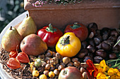 Herbstliches Obststillleben mit Pyrus, Capsicum, Physalis, Corylus