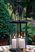 Garden lantern