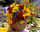 Helianthus / Sonnenblume, Dahlia, Astern