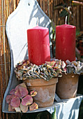 Candles with a wreath of hydrangea flowers