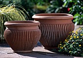Modern fluted winterproof clay pots for potted plants