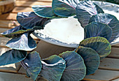 Wreath made of ornamental cabbage leaves Brassica