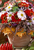 Bouquet with Calluna, Erigeron (fine radiant aster), Zinnia, Verbena bonariensis