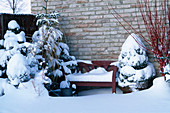 Eingewinterte Gehölze auf der Terrasse