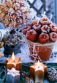 Weihnachtliches Arrangement mit Physalis- u. Nigellafruchtständen u. Kerzen