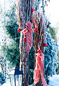 Rosenwinterschutz aus Gehölzruten geschmückt mit Kugeln und Bändern im Rauhreif