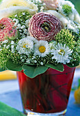 Ranunculus (ranunculus), Bellis (daisy)