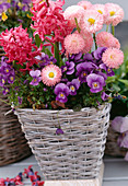 Basket pot with Hyacinthus orientalis, Viola cornuta