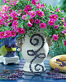 Lavendel-Ornament an stilvollem Gefäß mit Petunia Million