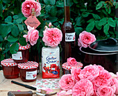 Making rose jelly, rose liqueur