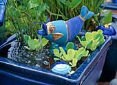 Fish as a water feature
