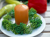 Plate of parsley and dill