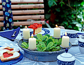 Schale mit Kerzen und Pistia (Wassersalat)