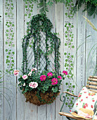 Wall basket with plastic-covered wire with Hedera (ivy)