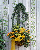 Wire basket with hedera (ivy), calendula (marigold),