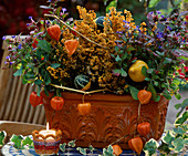 Clay pot painted orange with Erica gracilis, sprayed orange, Ceratostigma, Physlis (lampion flower), ornamental pumpkin