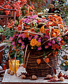 Willow basket with Dendranthema (autumn chrysanthemums), Asters (autumn asters), Rudbeckia