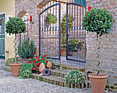 Courtyard entrance with brick wall and with Laurus nobilis