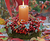 Kranz mit Kerze aus Rosa canina (Hagebutten), Hedera (Efeu)