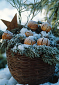 Basket with cypress branches, dried oranges, iron star