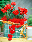 Tulipa 'Alba' (Rote gefüllte Tulpen) in karierter Tasche
