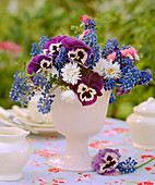 Frühlingsstrauß mit Muscari (Traubenhyazinthe), Bellis 'Tasso Weiß', Viola (Stiefmütterchen)