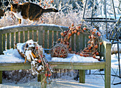 Garden bench in winter decorated with a wreath of physalis