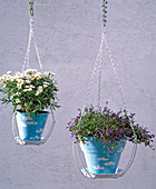 Pot support for hanging plants in single pots