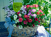 Balcony flowers in a basket as a gift, Petunia miliflora 'Fantasy Mix'