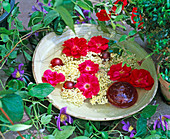 Schale mit Blüten im Wasser, Rosen, Sambucus (Holunder)