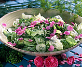 Salat mit Kräutern: Dill, Basilikum 'Oasis' kleinblättrig,