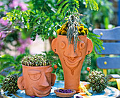 Clay heads with potting mix