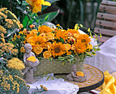 Basket with rose petals