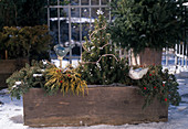 Balcony box with conifers