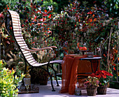 Sitzplatz auf dem Balkon; Clematisranken und Zweige mit Beeren um das Geländer g