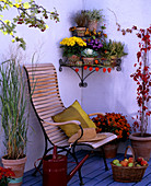 Balcony corner with wooden chair and corner shelf, Panicum (millet), Parthenocissus (wild vine)