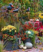 Chrysanthemum 'Spider' (orange Chrysantheme), Pyracantha (Feuerdorn), Cornus flo