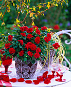 Impatiens walleriana 'Double Red' (Fleißiges Lieschen)