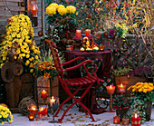 Autumn balcony with candlelight: Chrysanthemum pyramid 'Janice', 'Machismo Time'