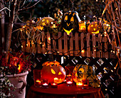 Halloween Terrace Cucurbita Gourds, Erica Heather, Hedera Ivy, Thymus Thyme