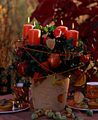 Hedera (Efeu) im Topf geschmückt mit Physalis (Lampionblume), Malus, Äpfel und Blätter
