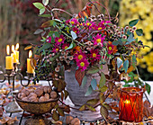 Chrysanthemum, Rubus (blackberry vine), Hedera (ivy)